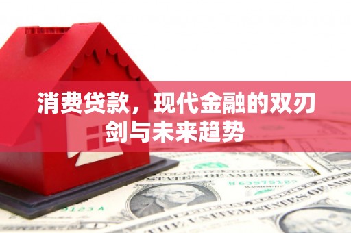 武进消费贷款，现代金融的双刃剑与未来趋势