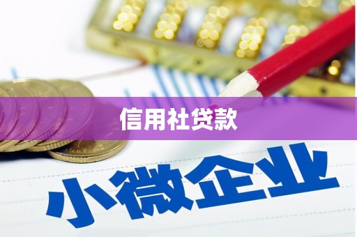 武进信用社贷款