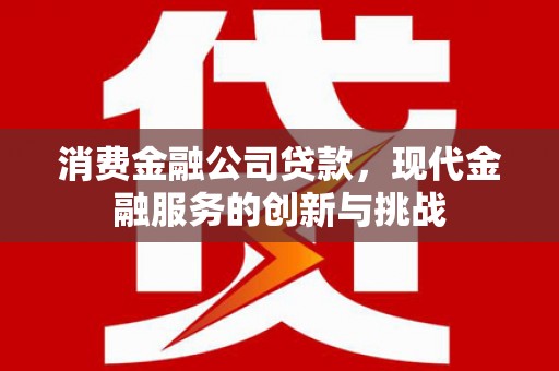 武进消费金融公司贷款，现代金融服务的创新与挑战