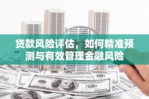 武进贷款风险评估，如何精准预测与有效管理金融风险