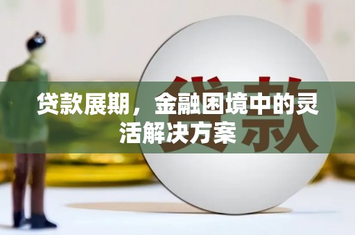武进贷款展期，金融困境中的灵活解决方案