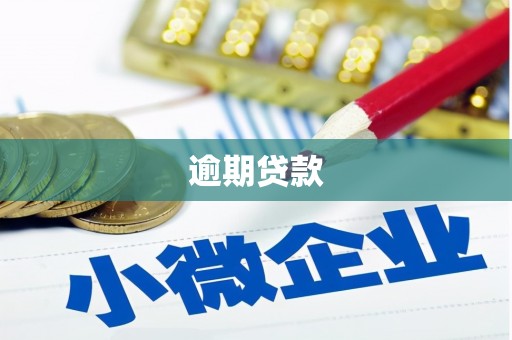 武进逾期贷款
