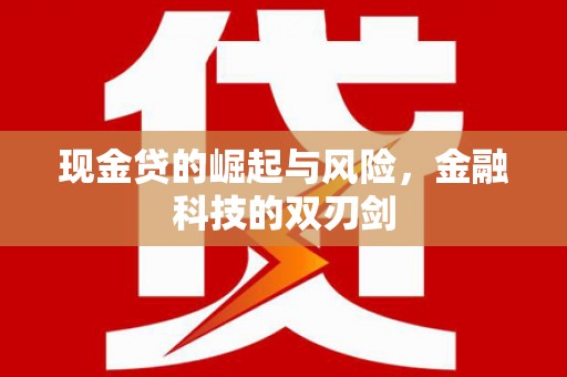 武进现金贷的崛起与风险，金融科技的双刃剑