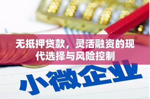 武进无抵押贷款，灵活融资的现代选择与风险控制