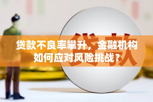 武进贷款不良率攀升，金融机构如何应对风险挑战？
