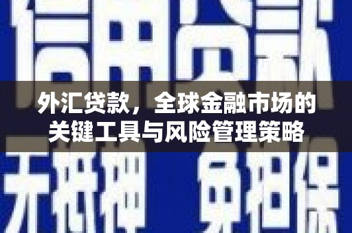 武进外汇贷款，全球金融市场的关键工具与风险管理策略