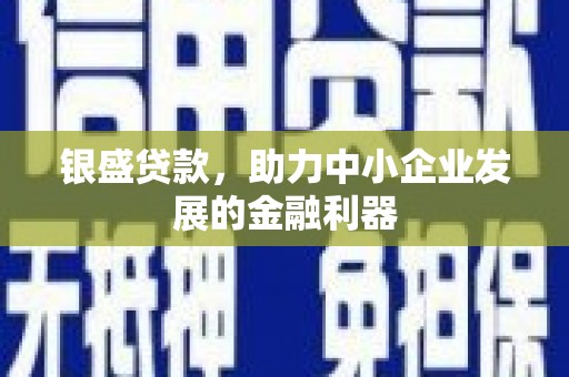 武进银盛贷款，助力中小企业发展的金融利器