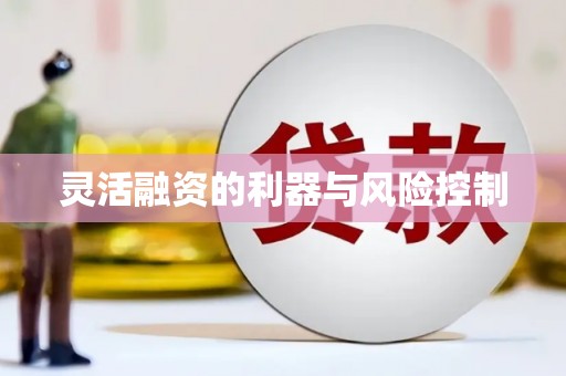 武进灵活融资的利器与风险控制