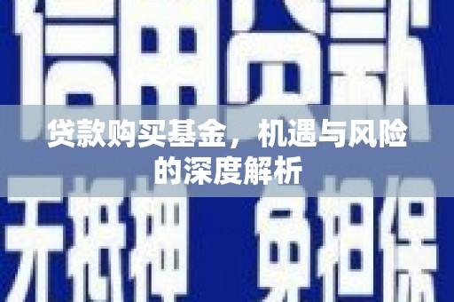 武进贷款购买基金，机遇与风险的深度解析
