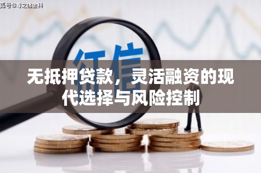 武进无抵押贷款，灵活融资的现代选择与风险控制