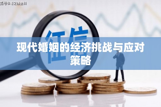 武进现代婚姻的经济挑战与应对策略