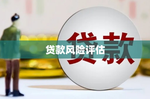 武进贷款风险评估