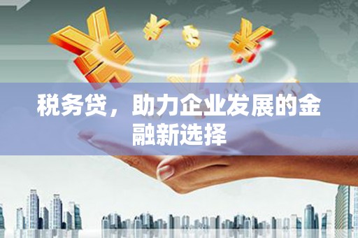 武进税务贷，助力企业发展的金融新选择