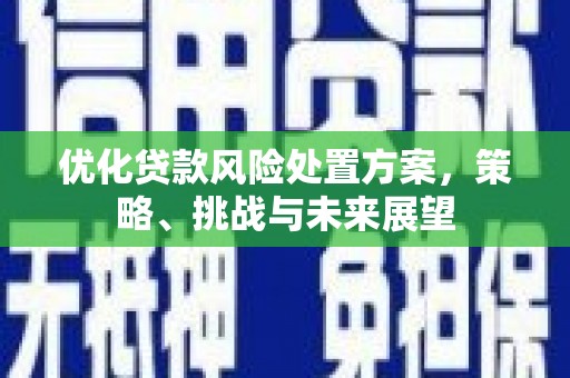 武进优化贷款风险处置方案，策略、挑战与未来展望