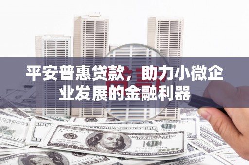 武进平安普惠贷款，助力小微企业发展的金融利器