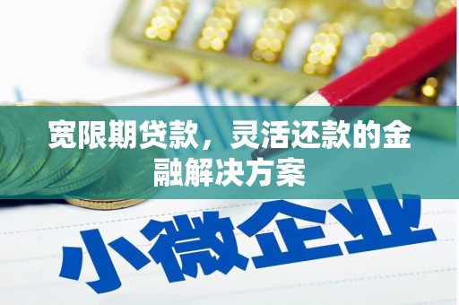 武进宽限期贷款，灵活还款的金融解决方案