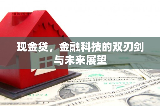 武进现金贷，金融科技的双刃剑与未来展望