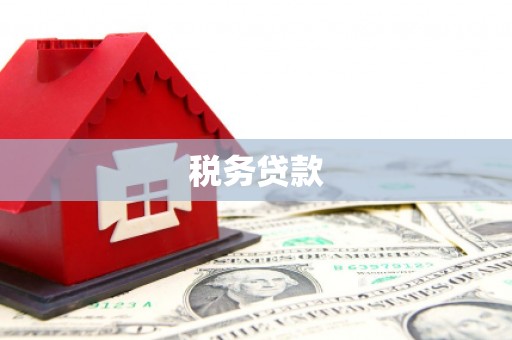 武进税务贷款