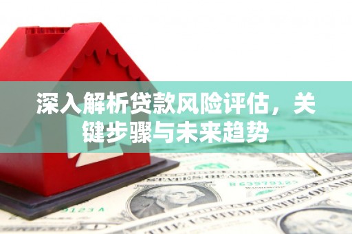 武进深入解析贷款风险评估，关键步骤与未来趋势