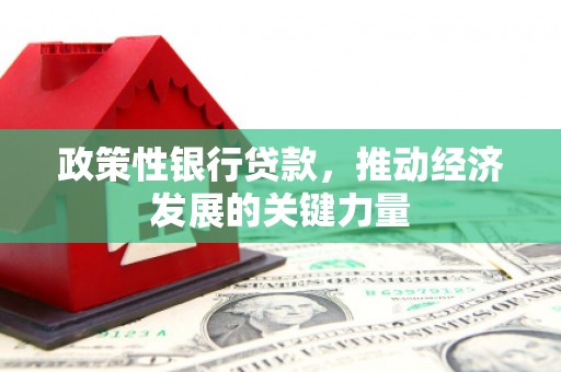 武进政策性银行贷款，推动经济发展的关键力量