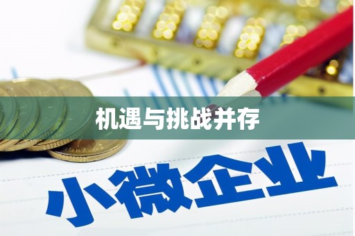 武进机遇与挑战并存