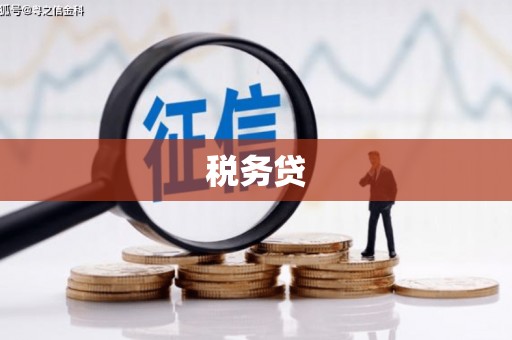 武进税务贷
