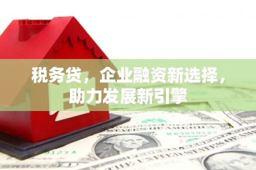 武进税务贷，企业融资新选择，助力发展新引擎