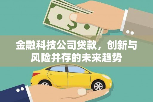 武进金融科技公司贷款，创新与风险并存的未来趋势