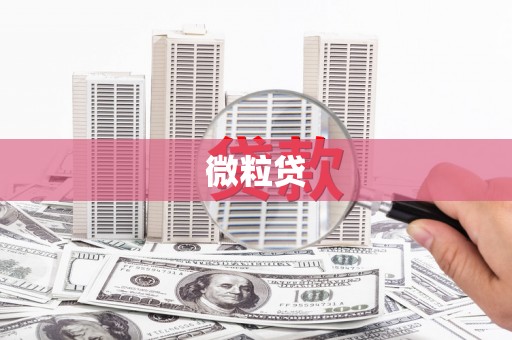 武进微粒贷
