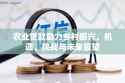 武进农业贷款助力乡村振兴，机遇、挑战与未来展望