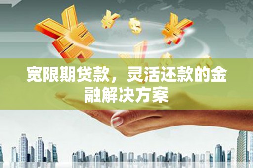 武进宽限期贷款，灵活还款的金融解决方案