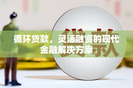 武进循环贷款，灵活融资的现代金融解决方案