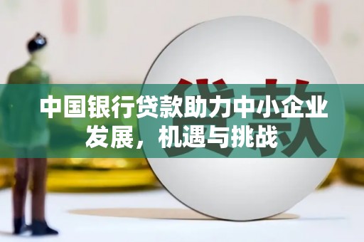 武进中国银行贷款助力中小企业发展，机遇与挑战