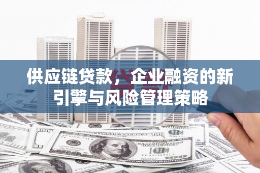 武进供应链贷款，企业融资的新引擎与风险管理策略