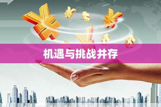 武进机遇与挑战并存