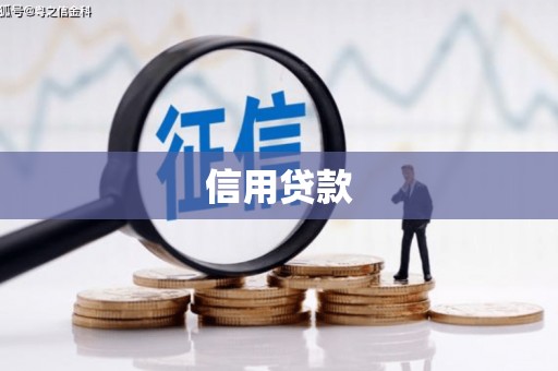 武进信用贷款