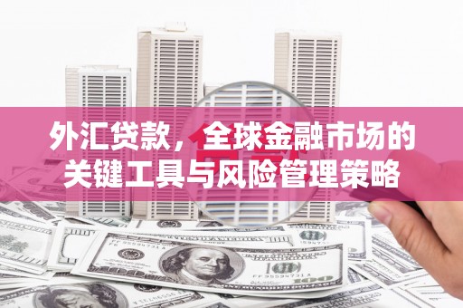 武进外汇贷款，全球金融市场的关键工具与风险管理策略