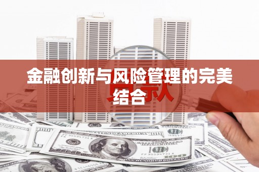 武进金融创新与风险管理的完美结合