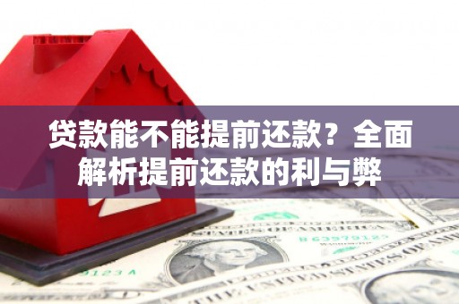 武进贷款能不能提前还款？全面解析提前还款的利与弊