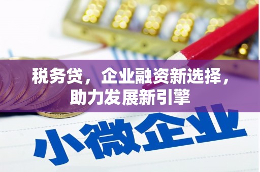 武进税务贷，企业融资新选择，助力发展新引擎