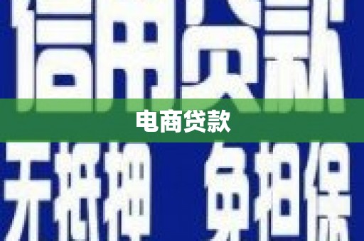 武进电商贷款