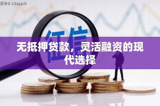 武进无抵押贷款，灵活融资的现代选择