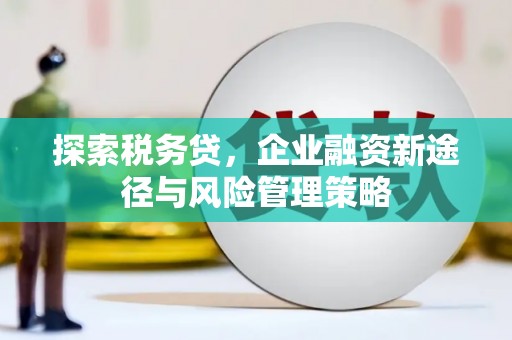 武进探索税务贷，企业融资新途径与风险管理策略