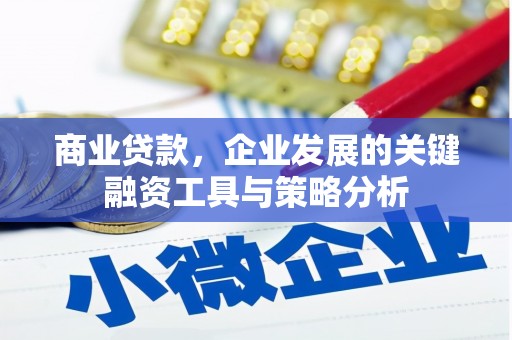 武进商业贷款，企业发展的关键融资工具与策略分析