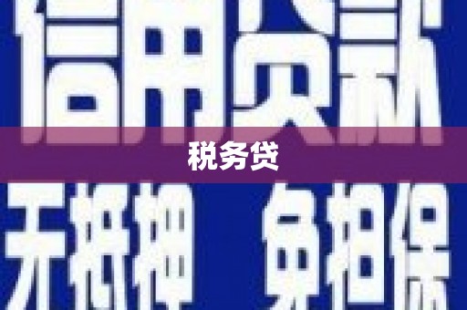 武进税务贷