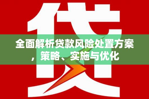 武进全面解析贷款风险处置方案，策略、实施与优化