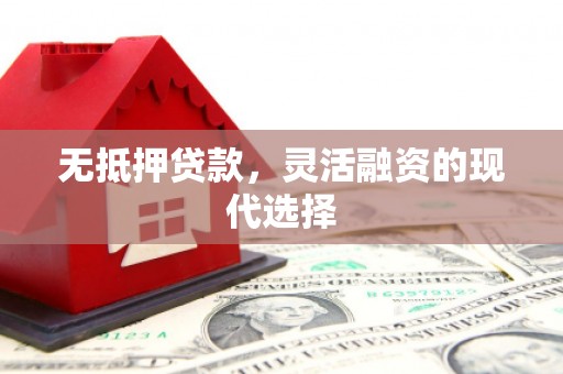 武进无抵押贷款，灵活融资的现代选择