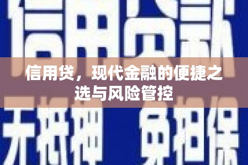 武进信用贷，现代金融的便捷之选与风险管控
