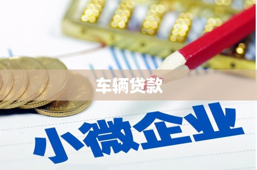 武进车辆贷款