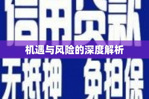 武进机遇与风险的深度解析